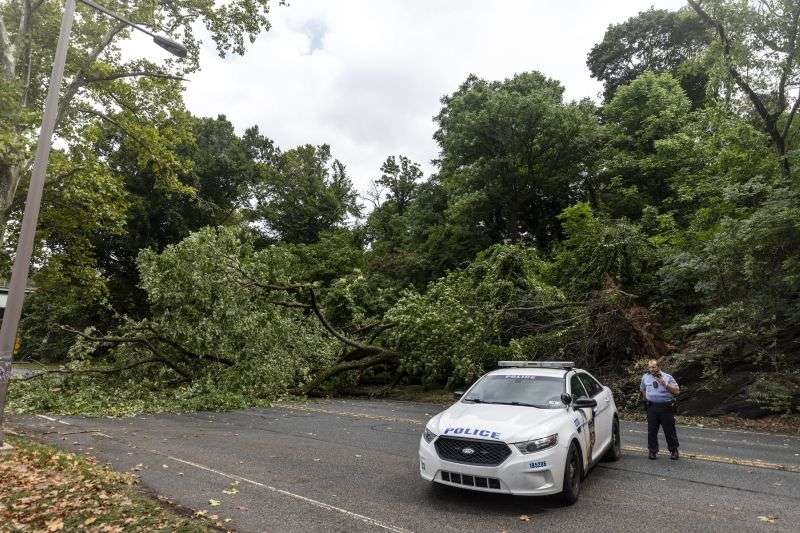 Officer Ryan Troutman, is at the scene to block the roads where a large tree has fallen due to high winds onto Kelly Drive as Tropical Storm Debby moves north in Philadelphia, on Friday.