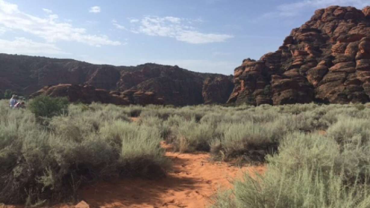 Red desert sand and slickrock are key features of the Red Cliffs Desert Reserve. The Washington County Commission and county attorney said they filed a lawsuit against the U.S. Bureau of Land Management and the U.S. Fish and Wildlife Service.