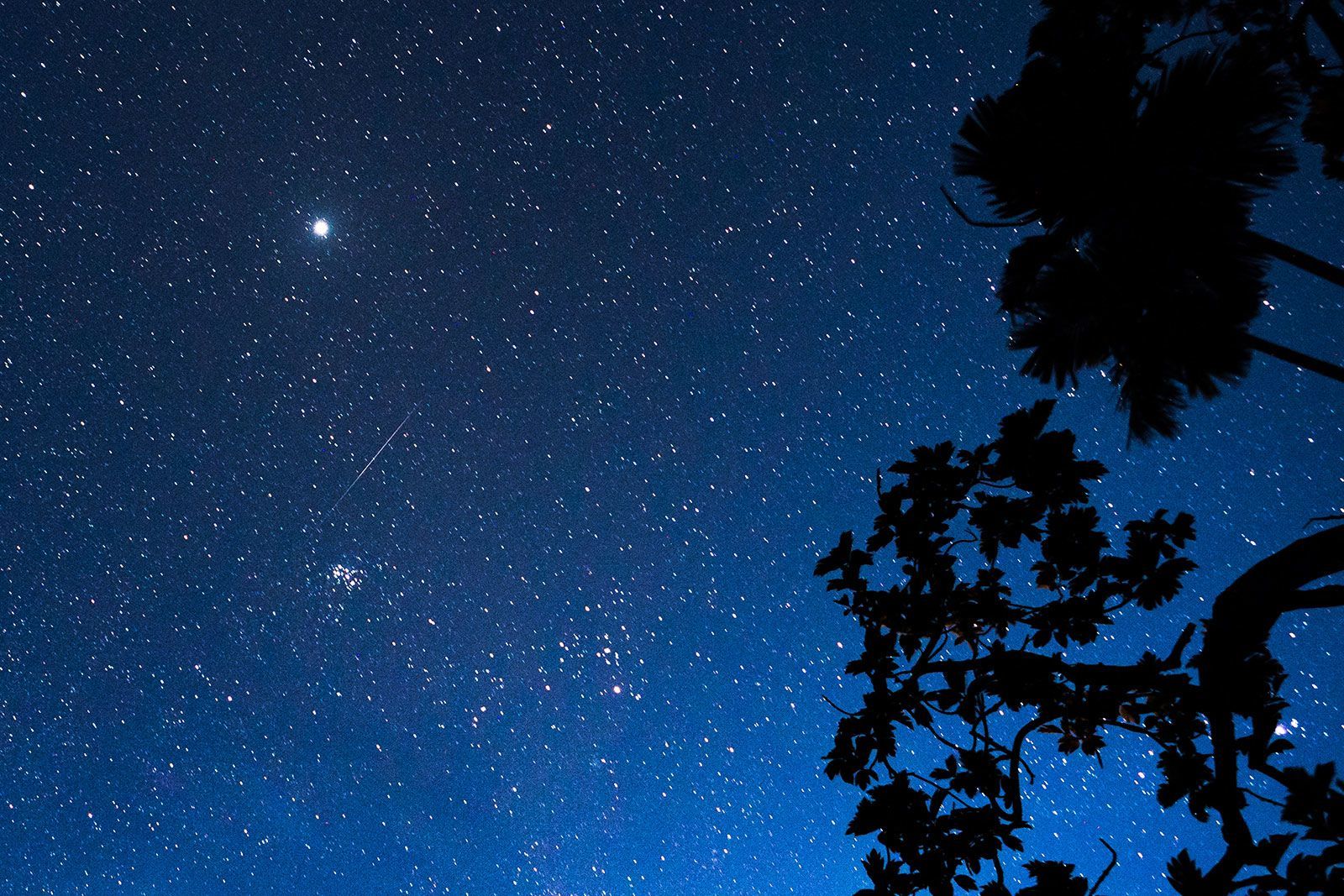 The annual Perseid meteor shower in the night sky on Aug. 14, 2023, in Ratnapura, Sri Lanka. It's that time of summer to watch the most anticipated meteor shower of the year: the dazzling display known as the Perseids.