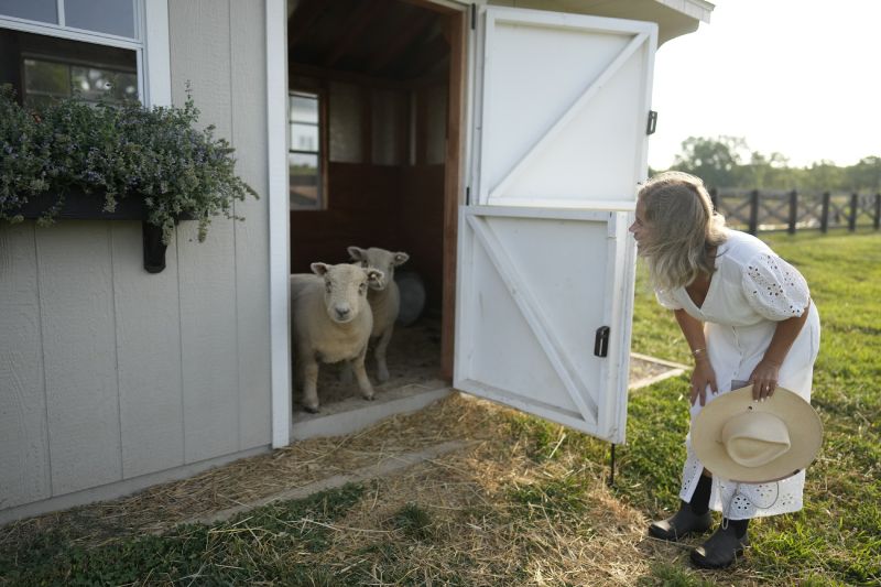 Jamie Campion lets her Southdown Babydoll sheep out of a shed to graze in the backyard on the morning of July 3, in Thompson Station, Tenn.