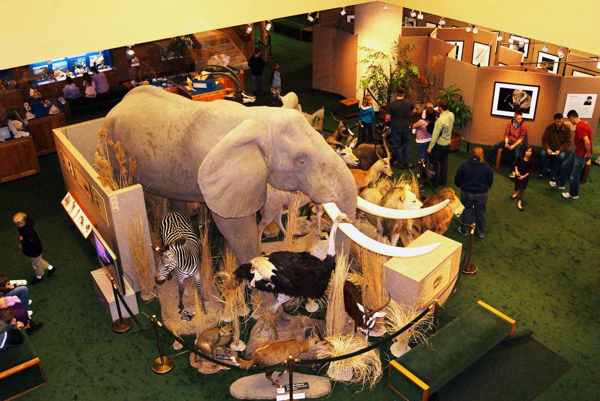 Fascinating Utah County museums you can visit and most are free