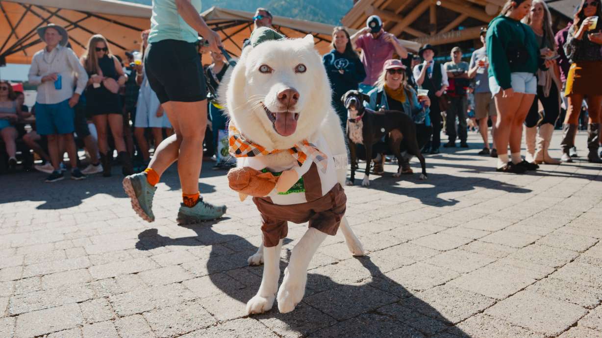 Utah's largest dog-friendly Oktoberfest at Snowbasin
