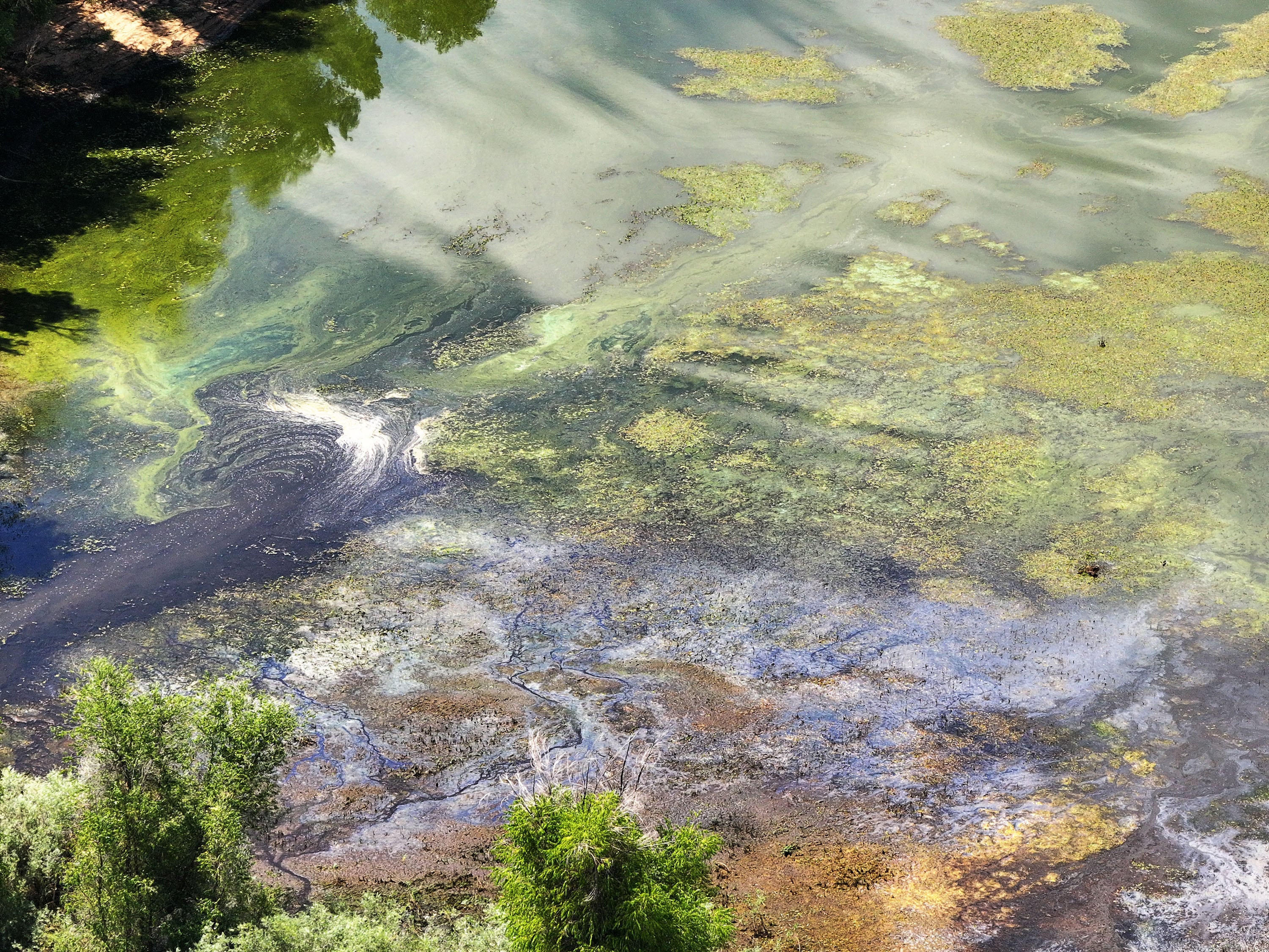The Middle Fork area at Pineview Reservoir on Tuesday. High levels of E. coli have been detected in the Pineview Reservoir Middle Fork Inlet area.