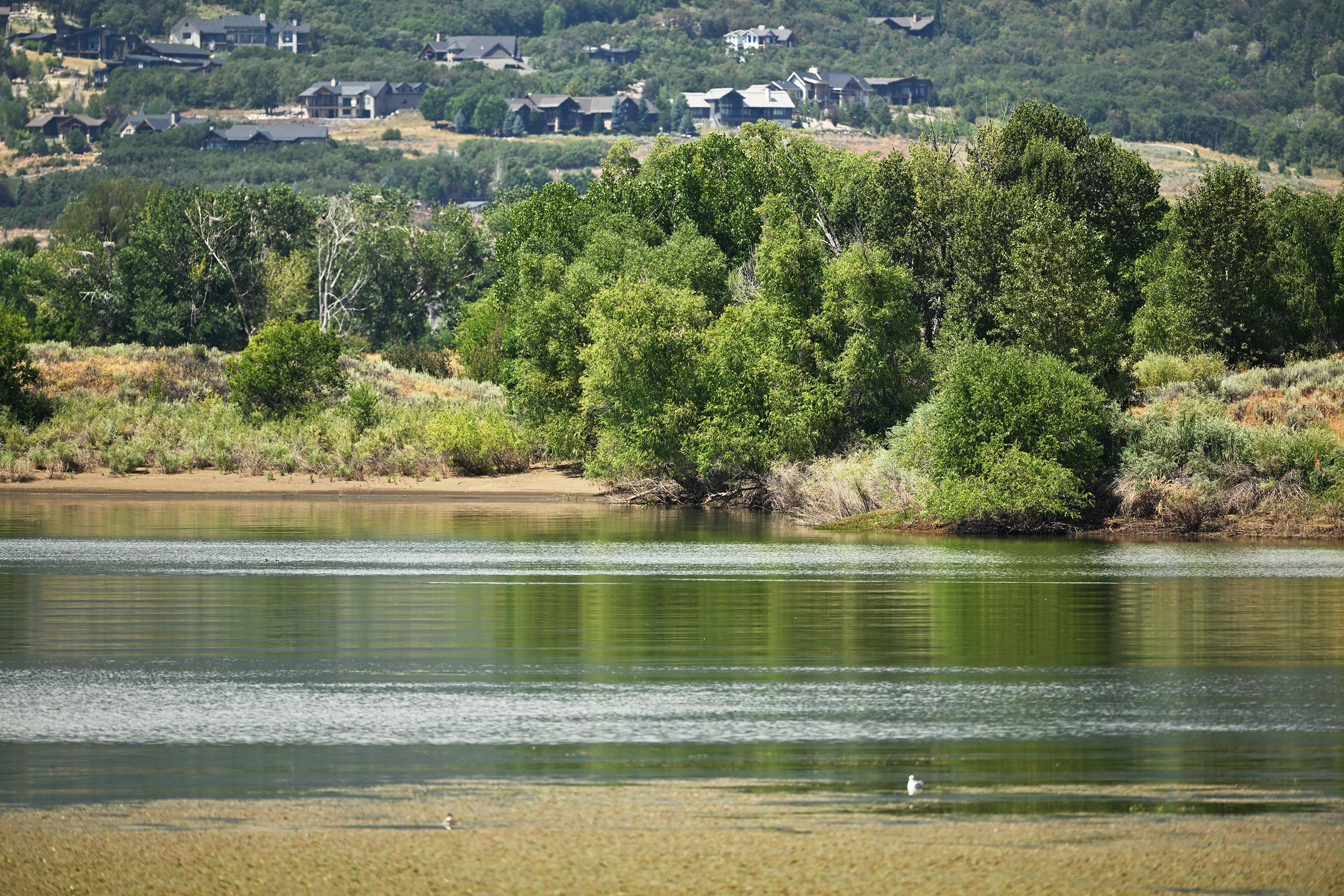 The Middle Fork area at Pineview Reservoir on Tuesday. High levels of E. coli have been detected in the Pineview Reservoir Middle Fork Inlet area.