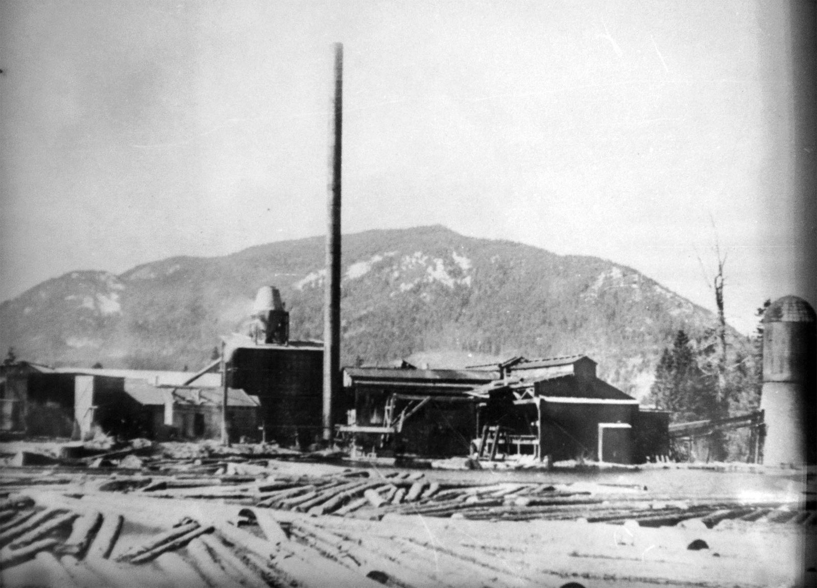 Should forests have a 'no smoking' policy? There are other options