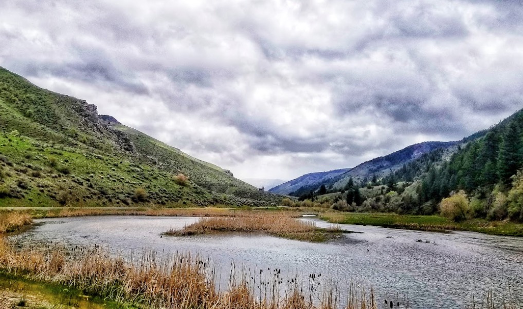 Blacksmith Fork River in Cache County on Aug. 7, 2019. Utah Division of Wildlife Resources officials are calling on anglers to target specific fish species in four bodies of water across northeast Utah, including brown trout in the river.