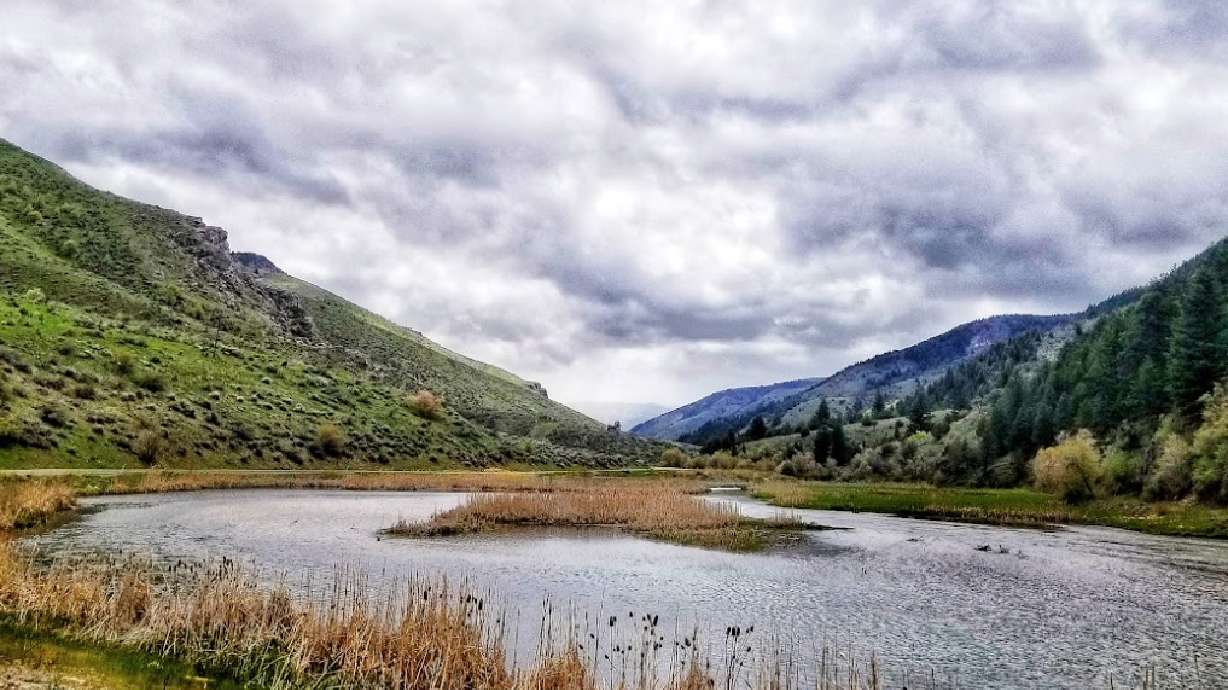 Blacksmith Fork River in Cache County on Aug. 7, 2019. Utah Division of Wildlife Resources officials are calling on anglers to target specific fish species in four bodies of water across northeast Utah, including brown trout in the river.