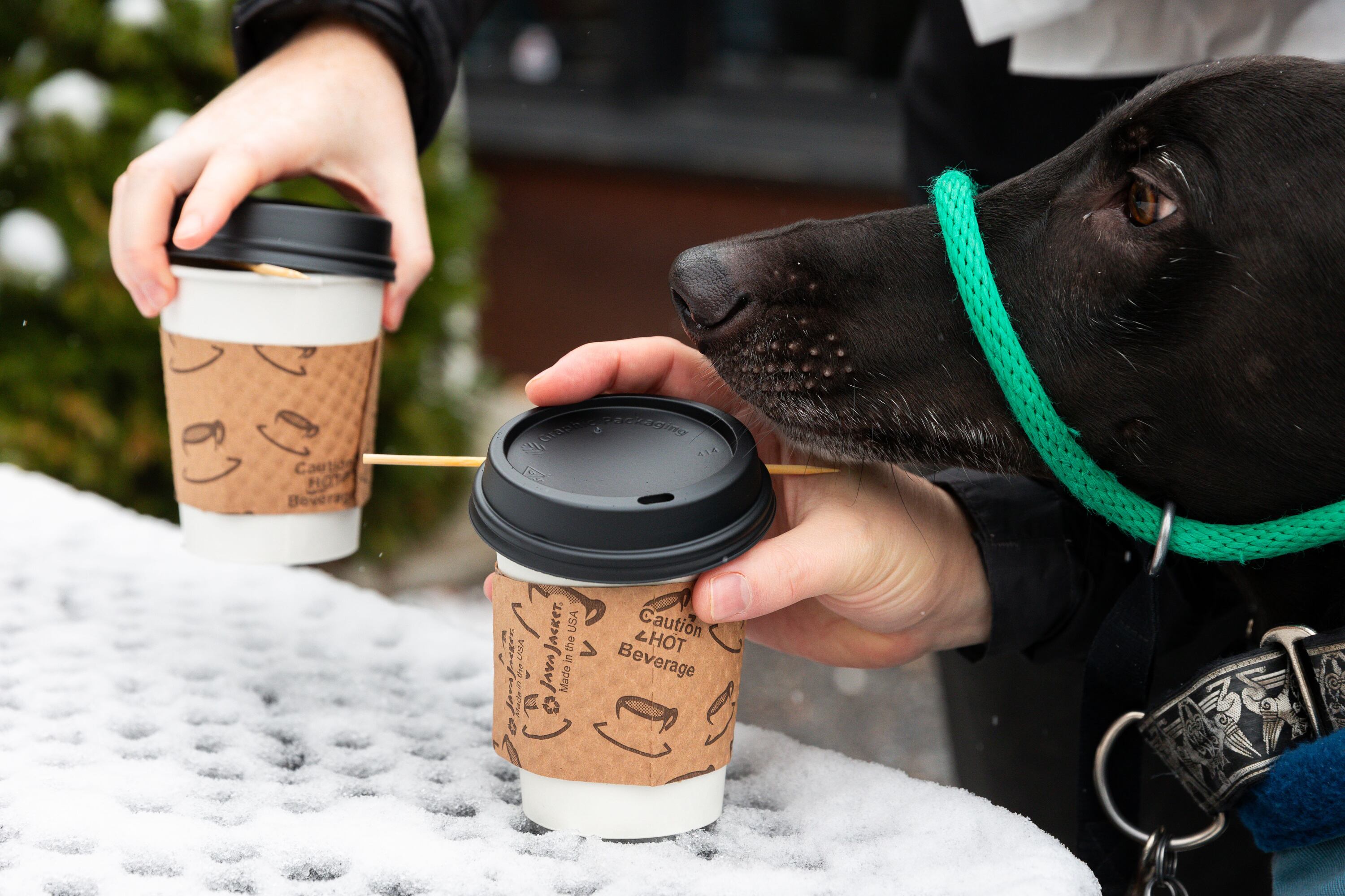 Customers pick up their drinks from a snow-covered table outside a Salt Lake City coffee shop on Nov. 24, 2023. Caffeine consumed regularly in high quantities may increase the risk of heart disease, according to a recent study.