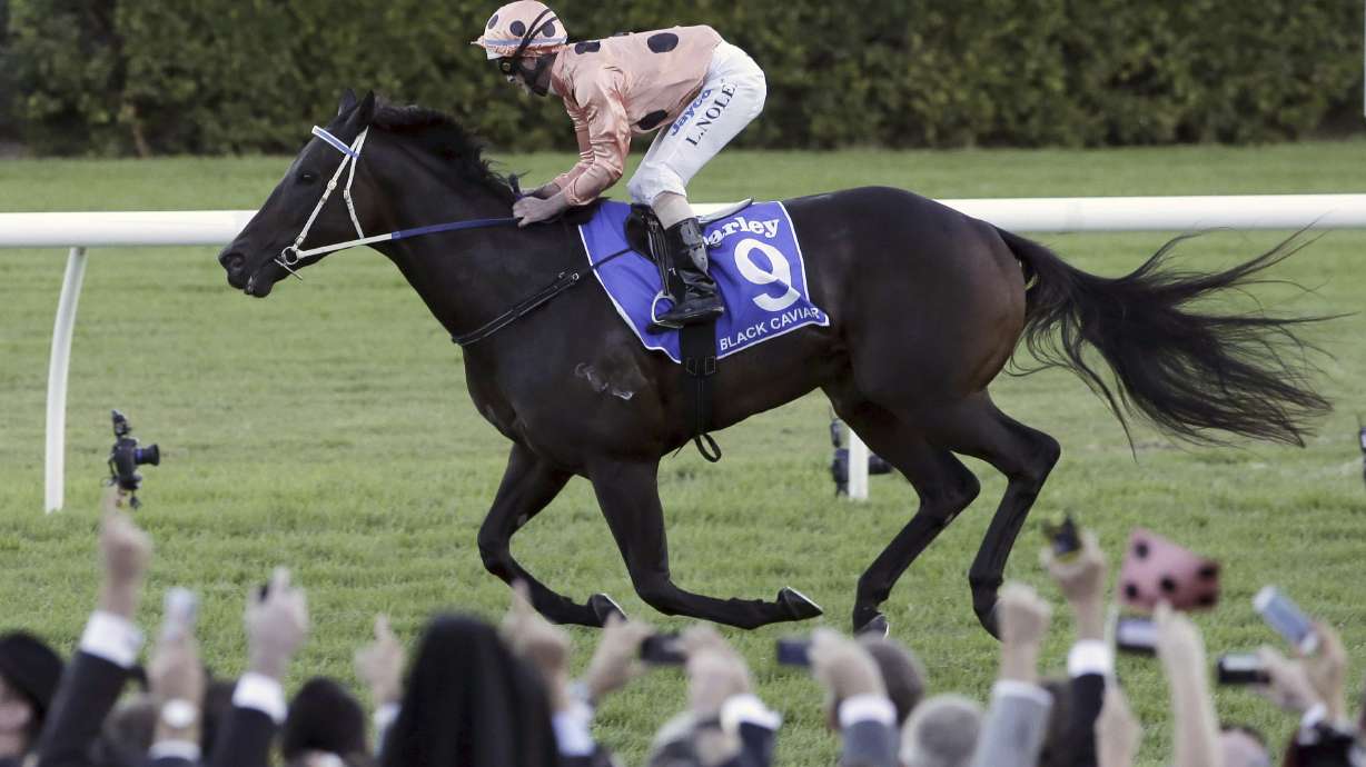 FILE - Black Caviar, ridden by Luke Nolen, crosses the finishing post to win the TJ Smith Stakes at Royal Randwick in Sydney, Australia on April 13, 2013.