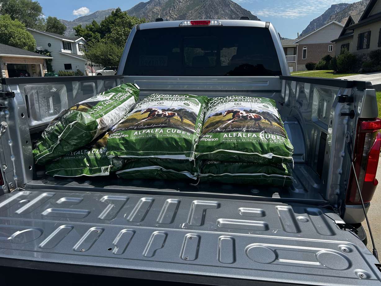 Test Drive: Updated for 2024, the Ford F-150 builds on its legacy of excellence