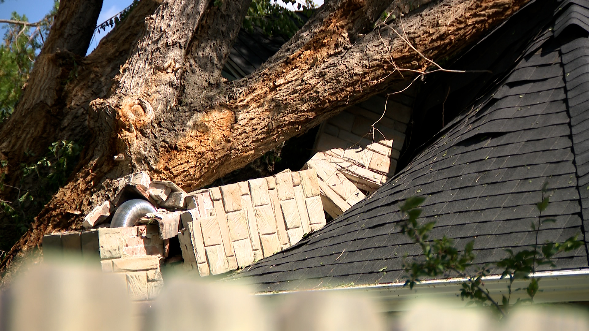 A tree crashed in the Wickersham’s home in Layton on Monday. No one was injured.
