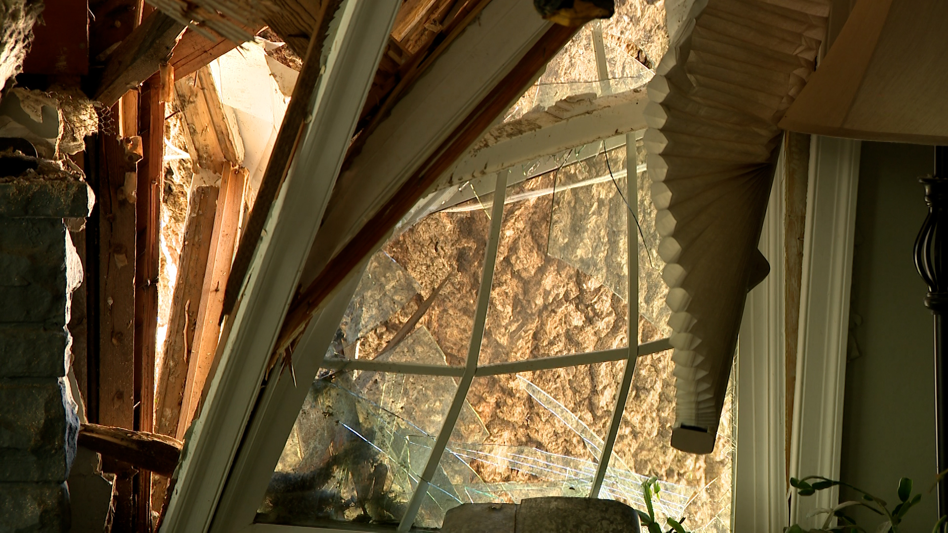 A tree crashed into the Wickersham’s home in Layton Monday, breaking walls and windows. No one was injured.