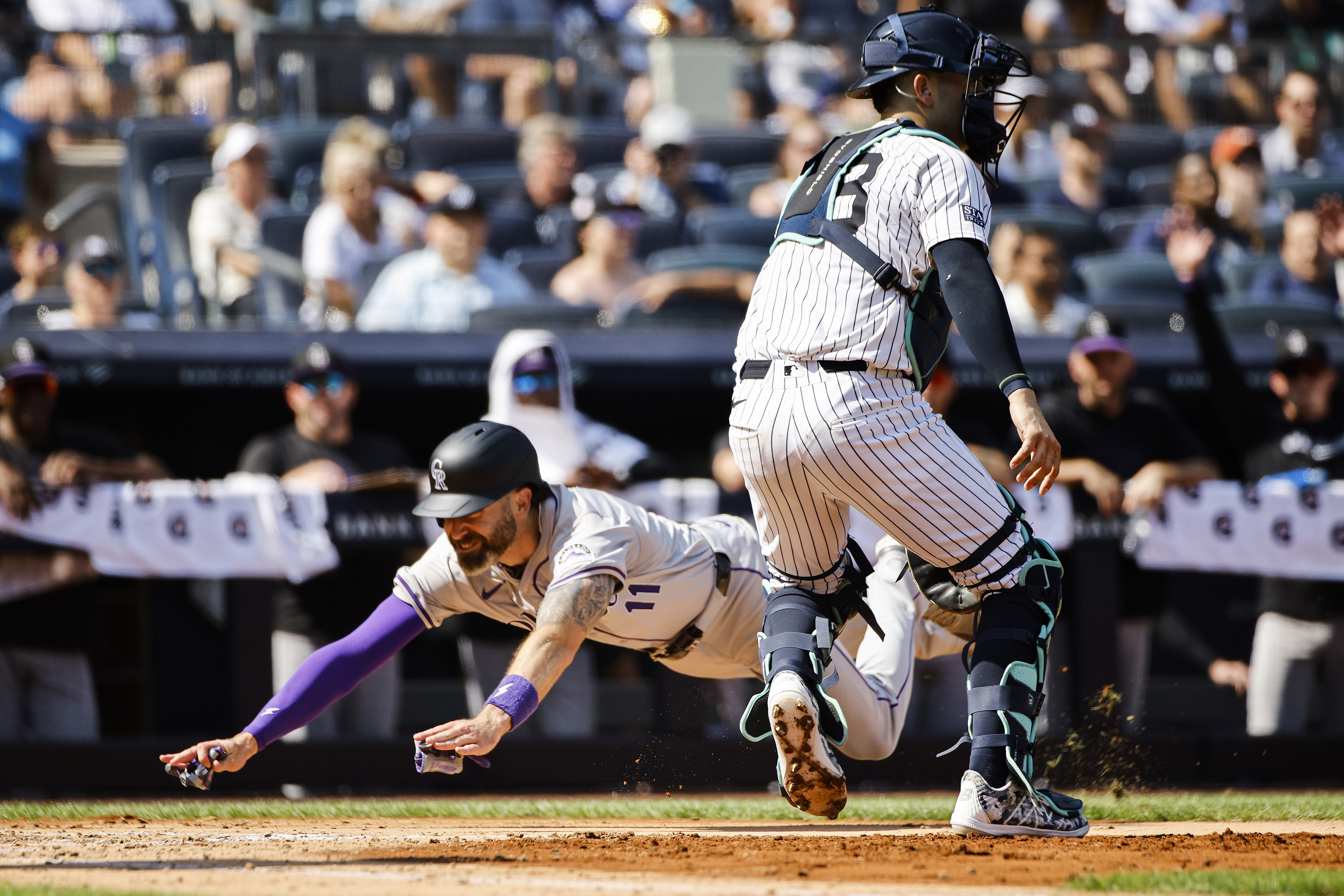 Colorado Rockies' Jake Cave (11) dives to score a run during the third inning of a baseball game against the New York Yankees, Saturday, Aug. 24, 2024, in New York. 