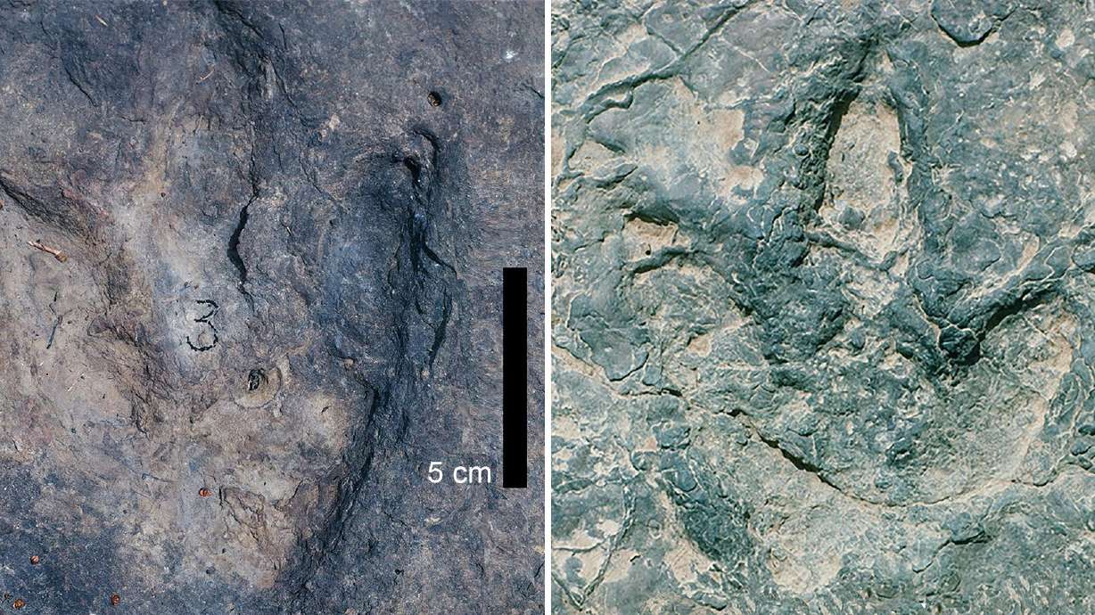 Two dinosaur tracks from the Koum Basin in Cameroon can be seen in what was once a basin 120 billion years ago.