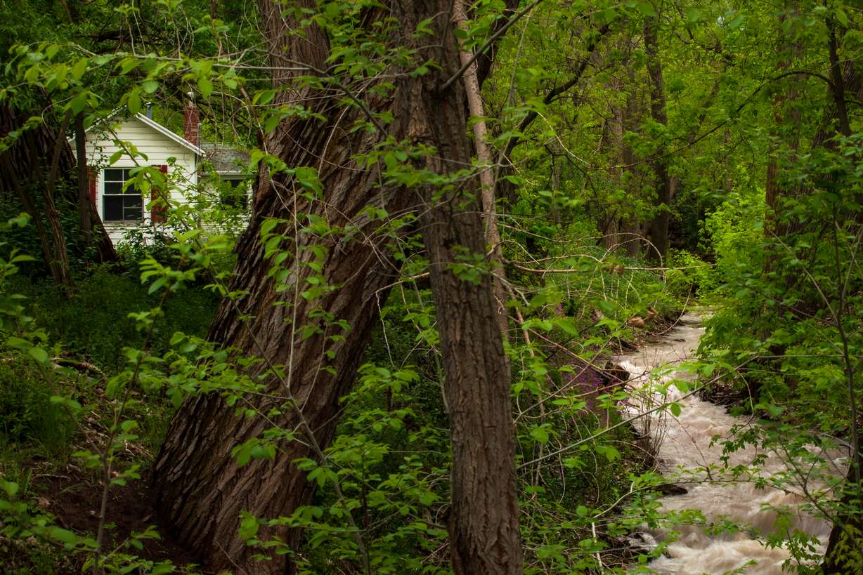 Emigration Creek flows through Allen Park in Salt Lake City on April 28. The small home in the background is one of the structures on the land that would be demolished to make way for the new park vision.