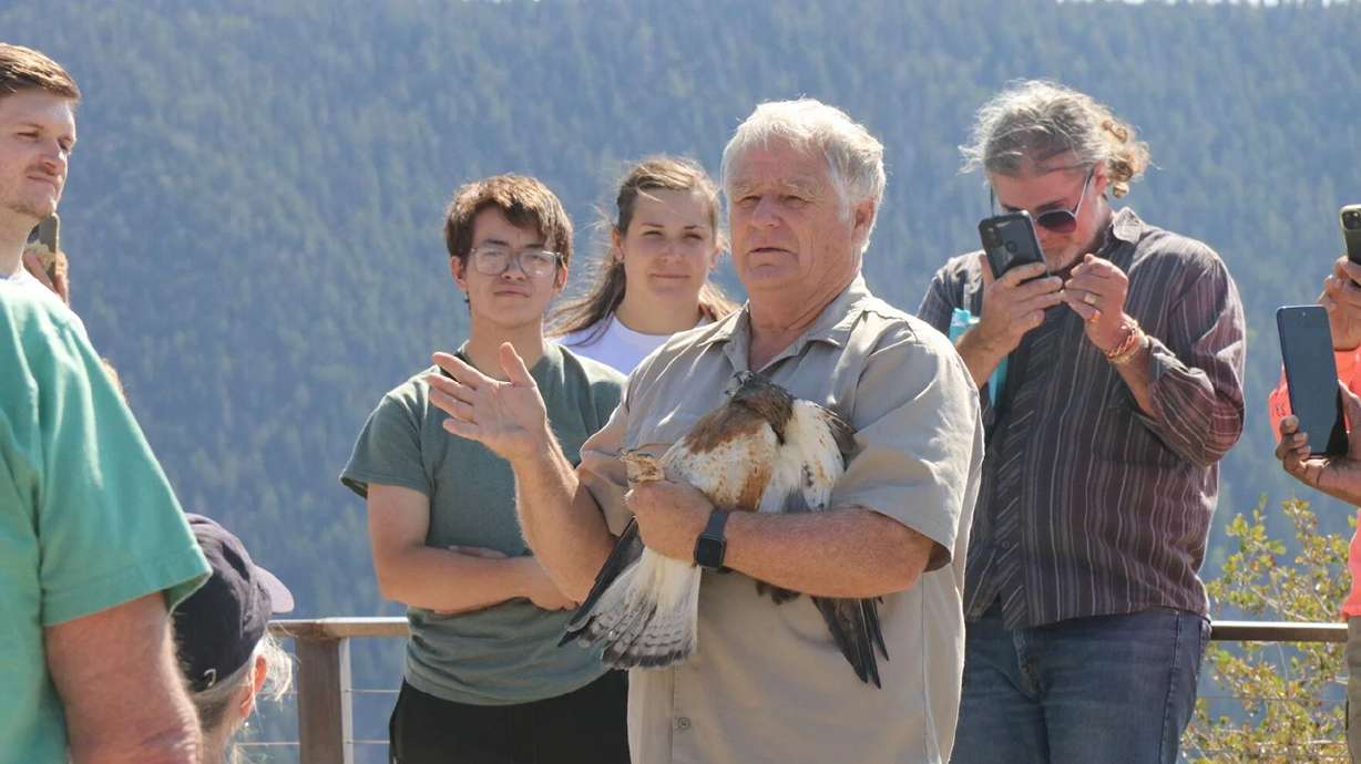 Enoch Wildlife Rescue founder Martin Tyner talks to attendees shortly before the release of two Swainson's hawks into the wild from a mountain near Cedar City, Sunday.