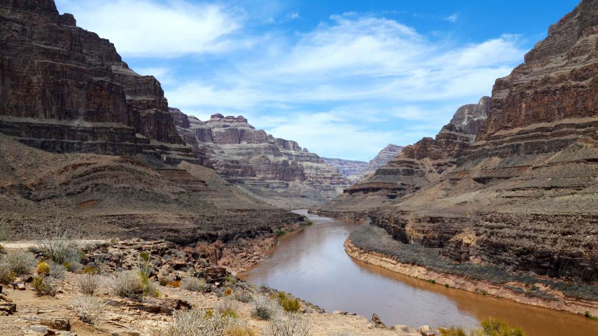 An 80-year-old man has died after falling from a boat on the Colorado River inside Grand Canyon National Park, authorities said Tuesday.