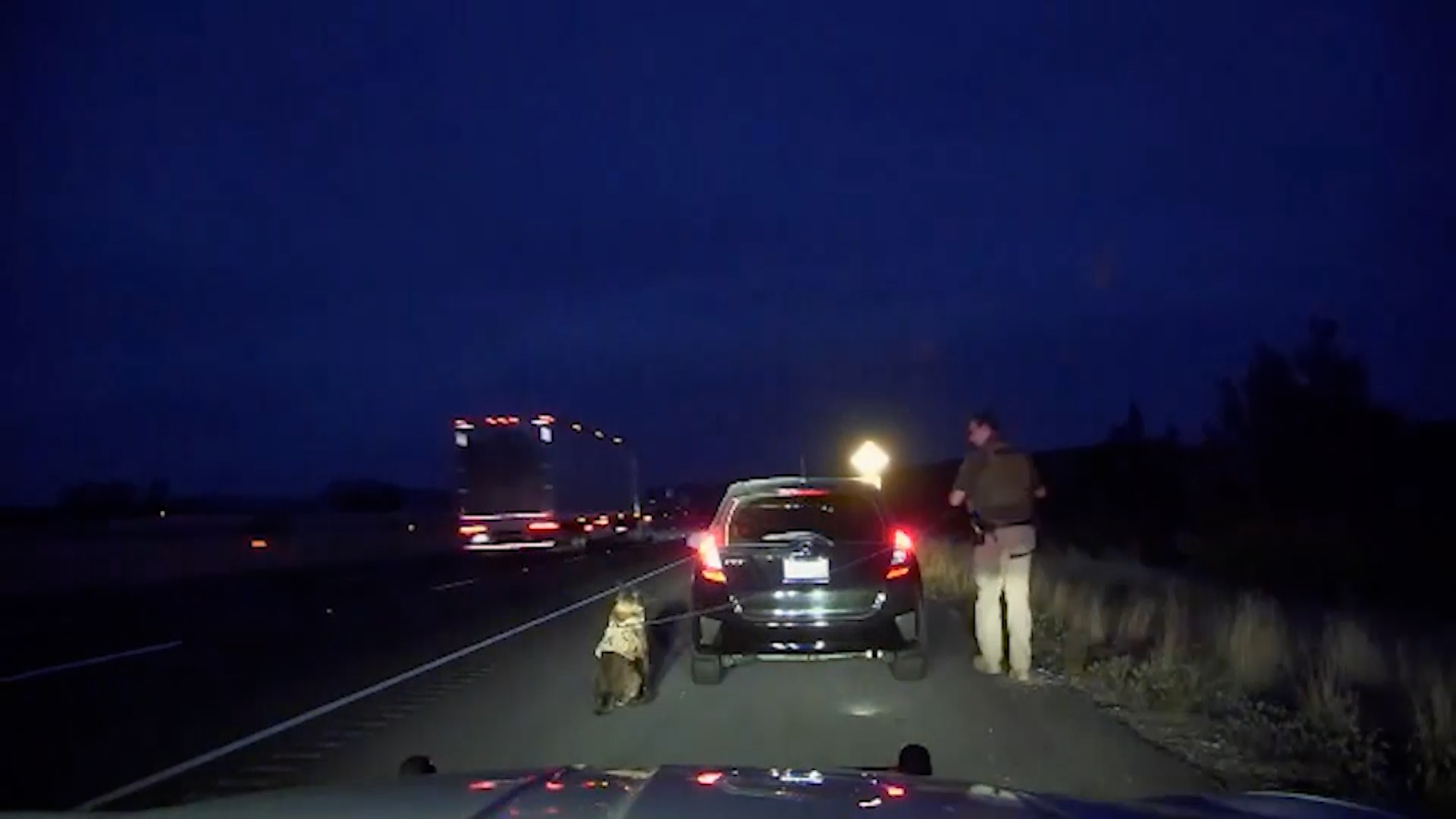 Dash camera footage shows a K-9 officer alerting after sniffing around a vehicle stopped along I-15 in 2023.