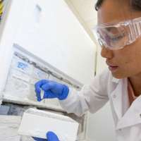 Could snail venom help treat diabetes? U. researchers say it can