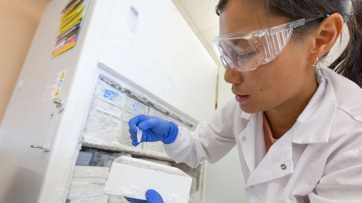 Post-doctoral researcher Ho Yan Yeung pulls samples of cone snail venom out of a ultra-low temp freezer while explaining her research inside a lab in the Emma Eccles Jones Medical Research Building on the University of Utah campus in Salt Lake City on Tuesday.