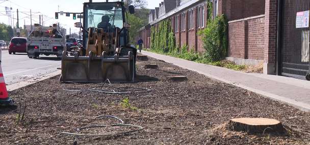$500K price tag to replace the 200 trees accidentally poisoned on North Temple