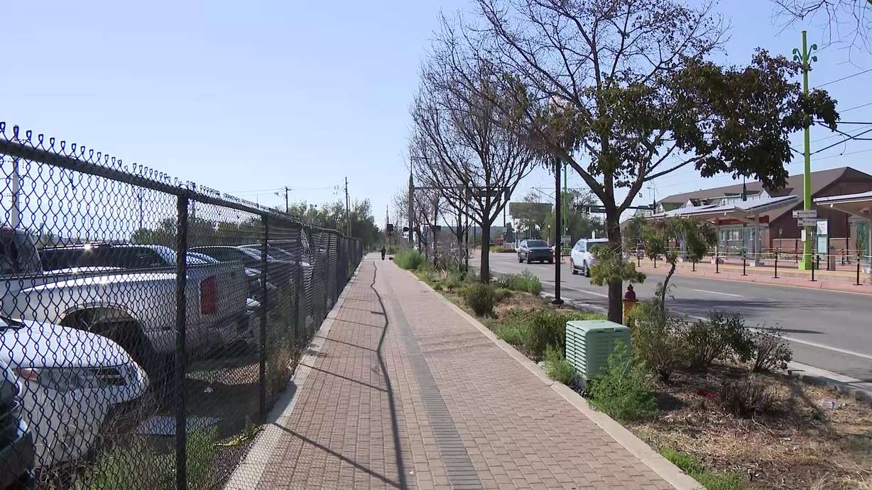 The dead trees lined up on a Salt Lake City street Thursday.