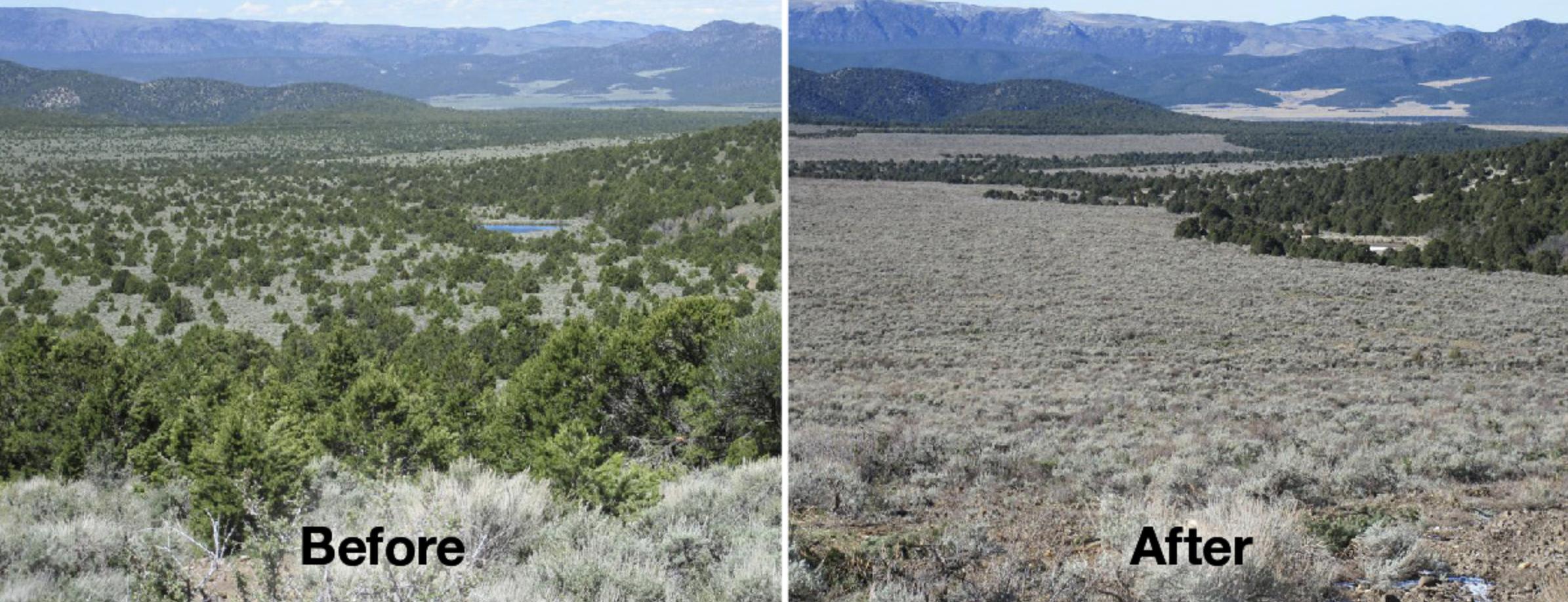 Why Utah is asking for clarity from the U.S. Supreme Court