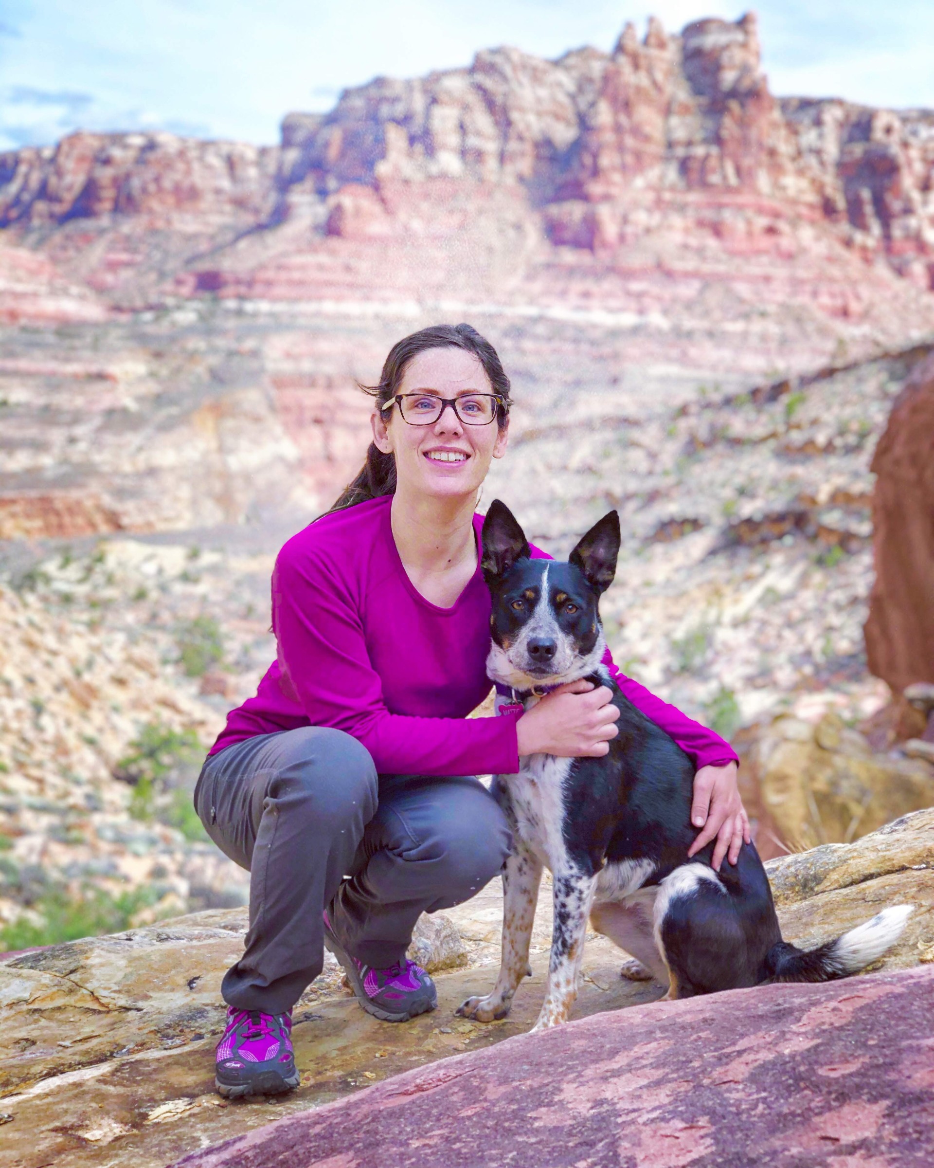 Aquamation now an option offered to Utah pet owners