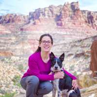 Aquamation now an option offered to Utah pet owners