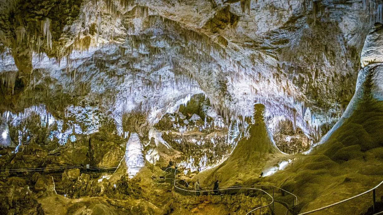 Carlsbad Caverns National Park in New Mexico is home to a fragile ecosystem.