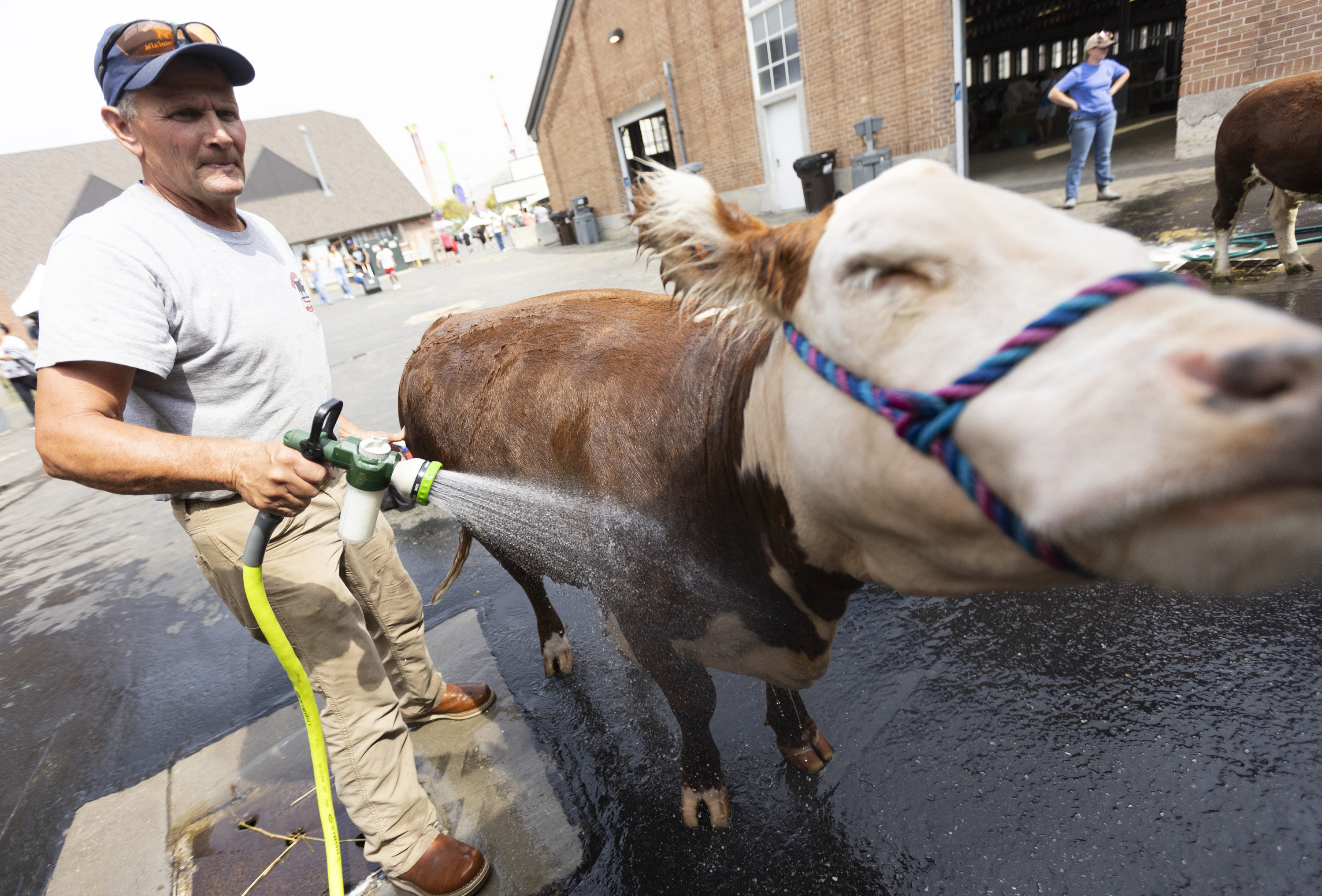 'Throw anything in a pot of oil, and it tastes good': Enjoy nostalgia, fried foods at Utah State Fair