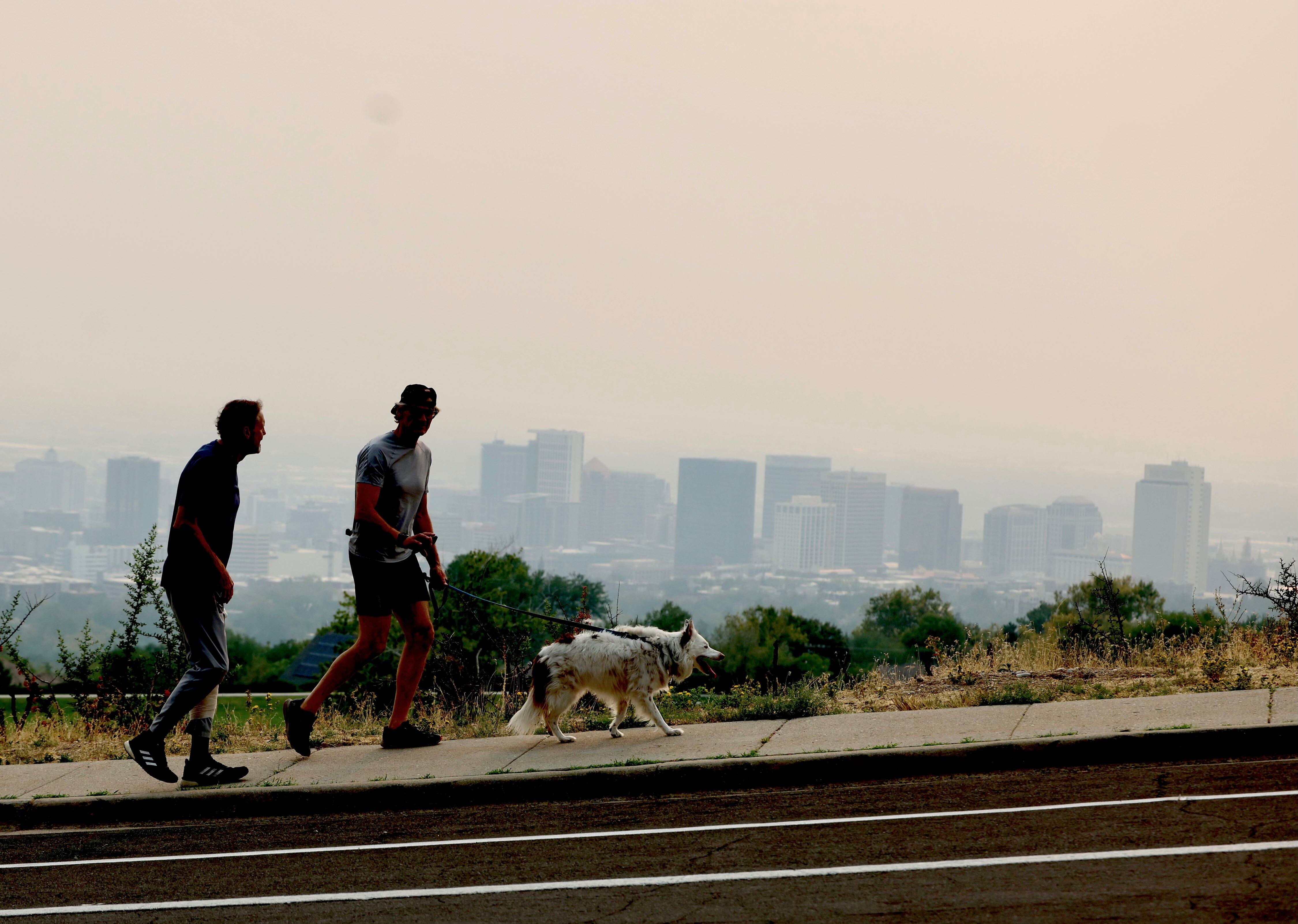 Wildfire smoke filling the air? Here's what you should be doing