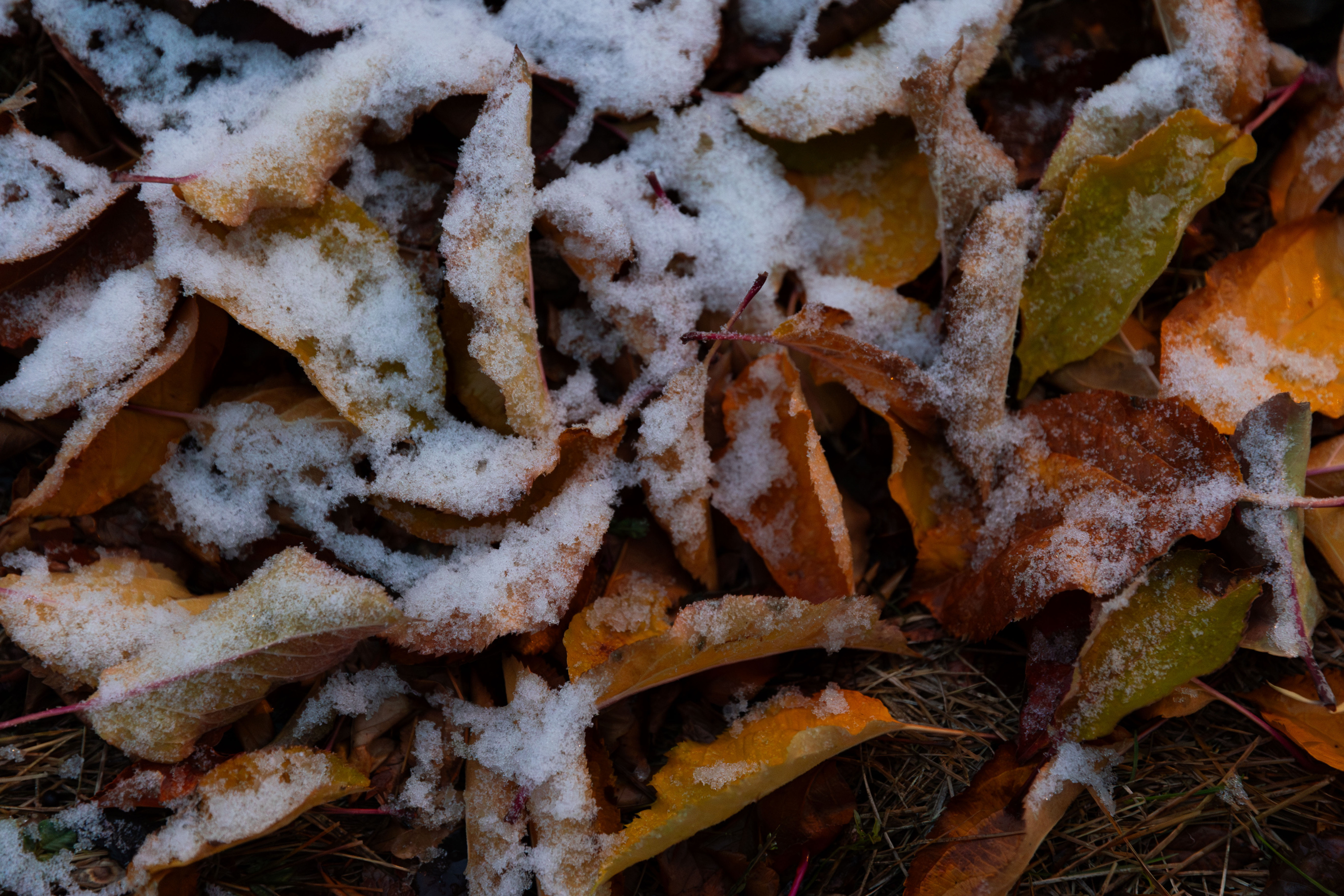 Freeze warning issued for parts of Utah as temperatures dip