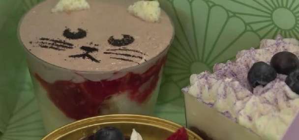 Salt Lake dessert cafe has fundraiser for Vietnam villages devastated by typhoon