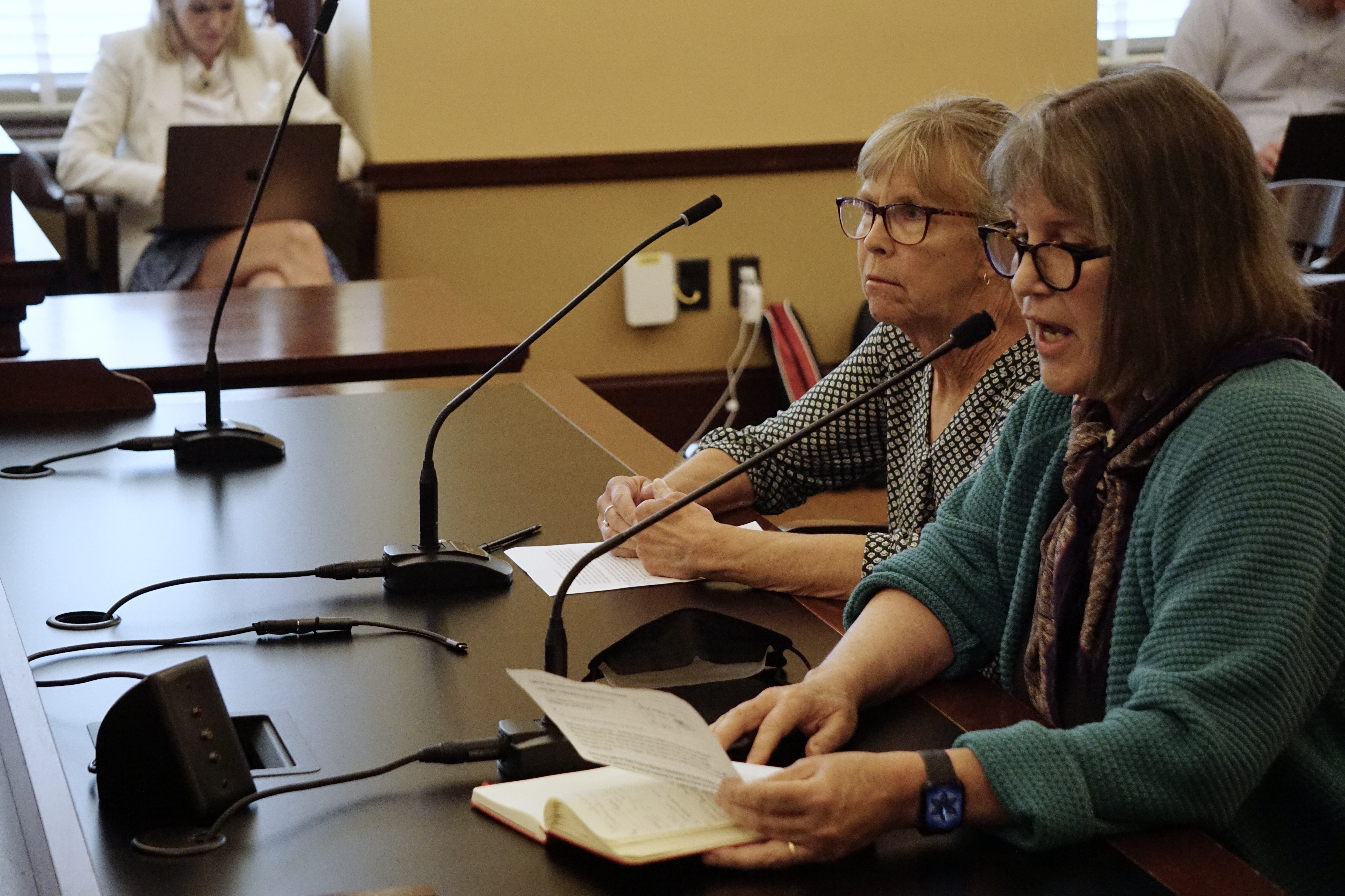 Deeda Seed, campaigner at the Center for Biological Diversity, speaks at a Utah Inland Port Authority board meeting at the state Capitol on Sept. 5. The group was one of two that joined in a lawsuit against the port authority filed Thursday.