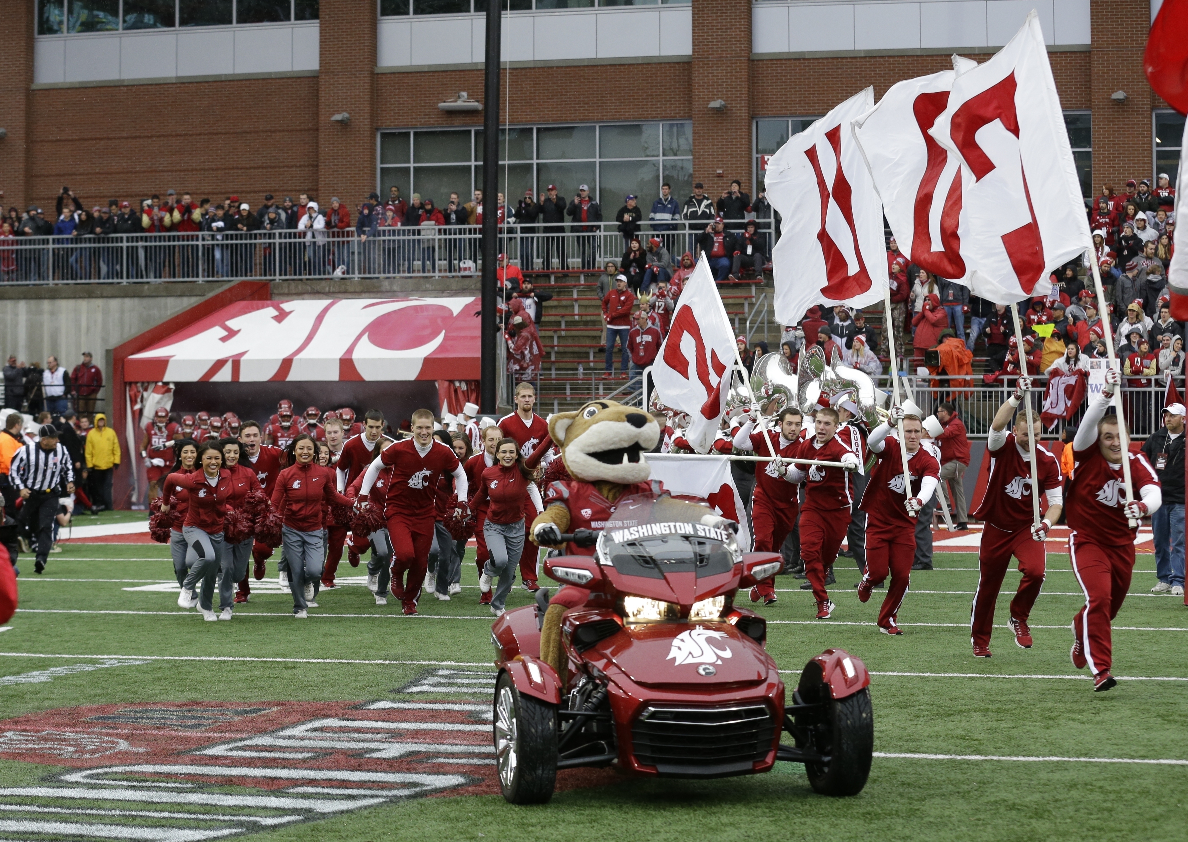 FILE - Butch, the Washington State mascot leads cheerleaders and players onto the field before an NCAA college football game against Washington, Nov. 25, 2016, in Pullman, Wash.