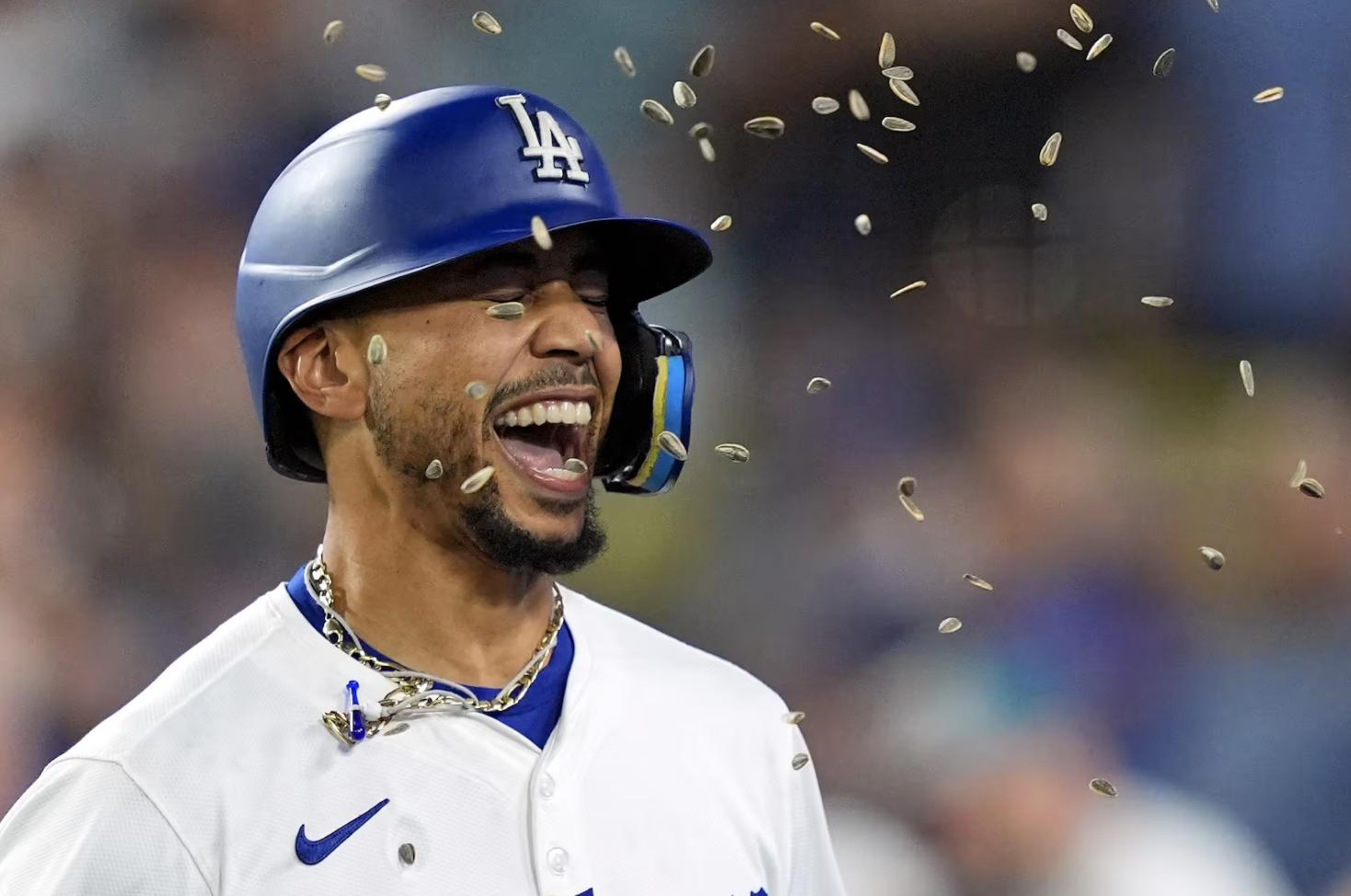 Los Angeles Dodgers' Mookie Betts is hit in the face by sunflower seeds thrown by Teoscar Hernández after hitting a two-run home run during the seventh inning of a baseball game against the Chicago Cubs, Sept. 9 in Los Angeles.