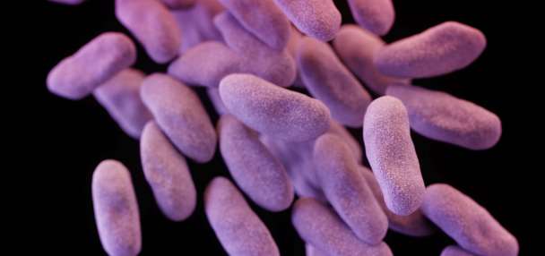 Drug-resistant bacteria deaths are projected to jump 70% by 2050