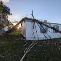Storm topples trees across Roy, Clinton; resident describes tree hitting home