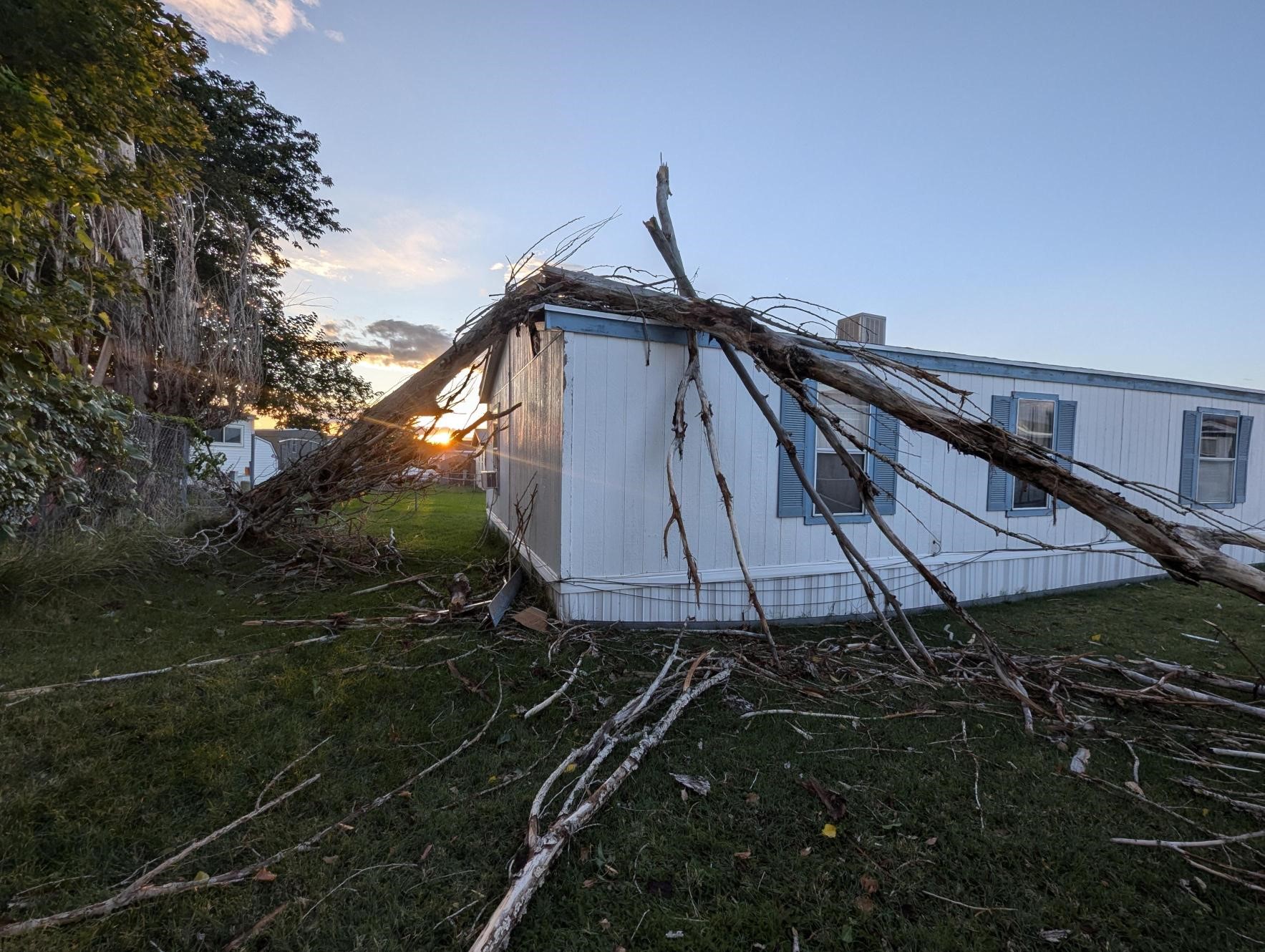 The tree fell on Tom Lewis’ home in Roy during a storm on Tuesday.