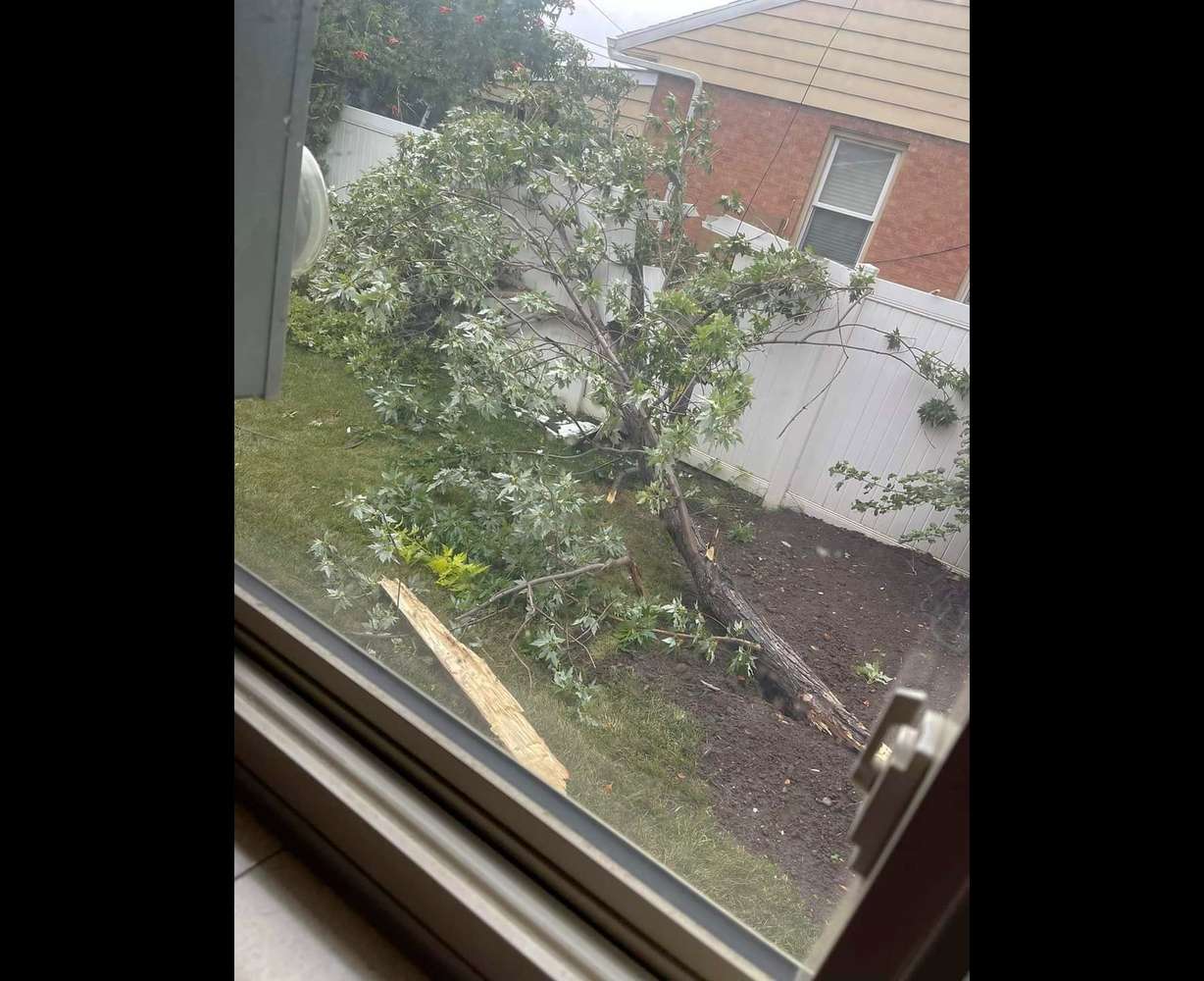 A tree branch fell into a fence at a home in Roy during a storm on Tuesday.
