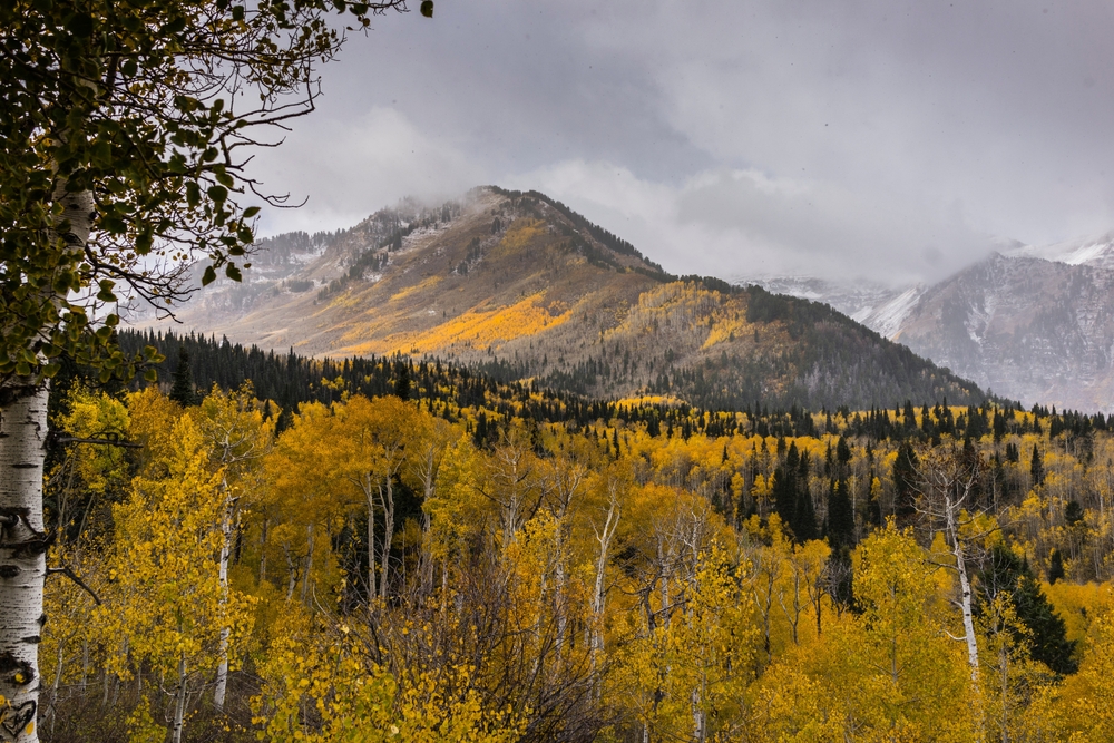 4 Utah Valley scenic drives to enjoy foliage this fall