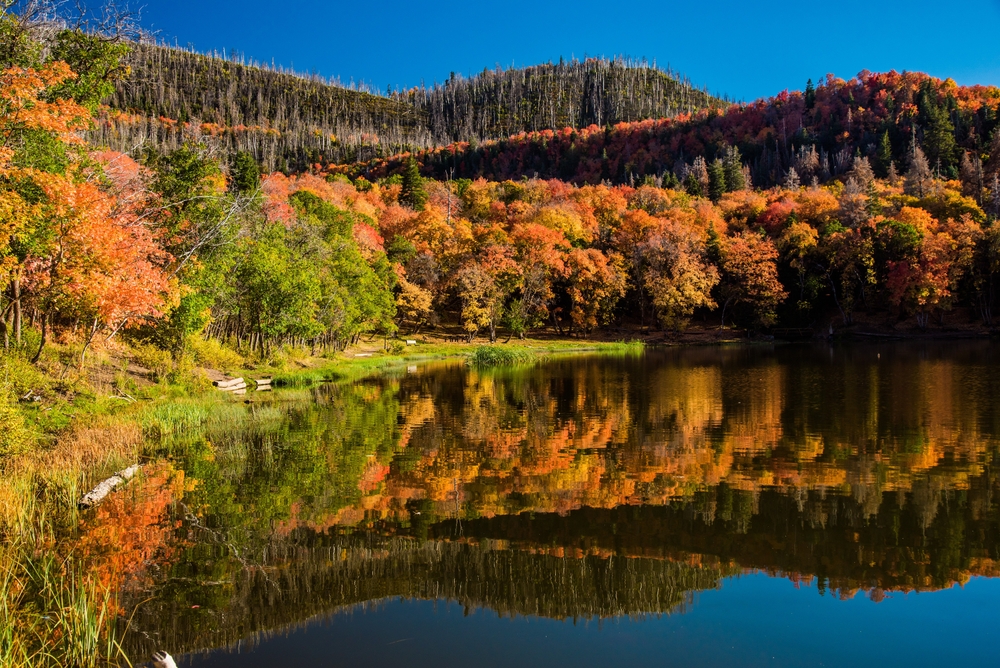 4 Utah Valley scenic drives to enjoy foliage this fall