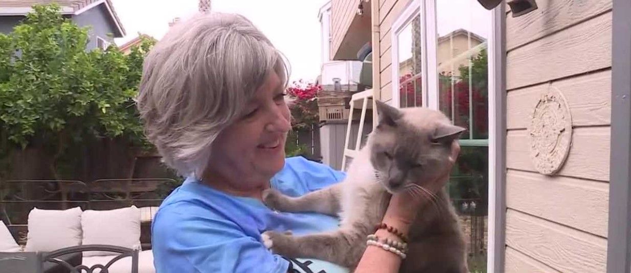 Susanne Anguiano has reunited with her beloved house cat after losing him in Yellowstone National Park, seen in this undated image.