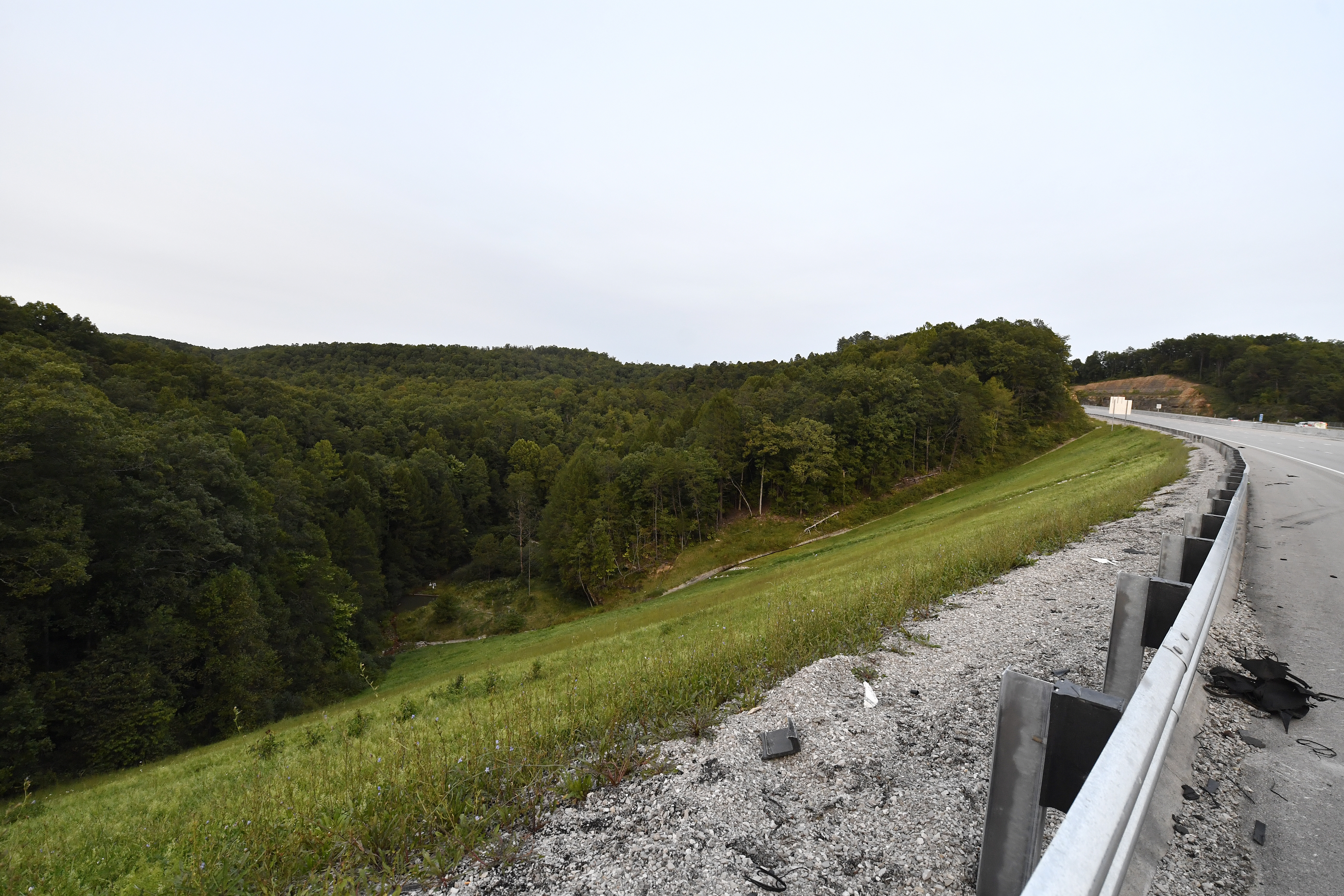 Trees stand in wooded areas alongside Interstate 75 near Livingston, Ky., Sept. 8, as police search for a suspect in a shooting Sept. 7 along the interstate. 