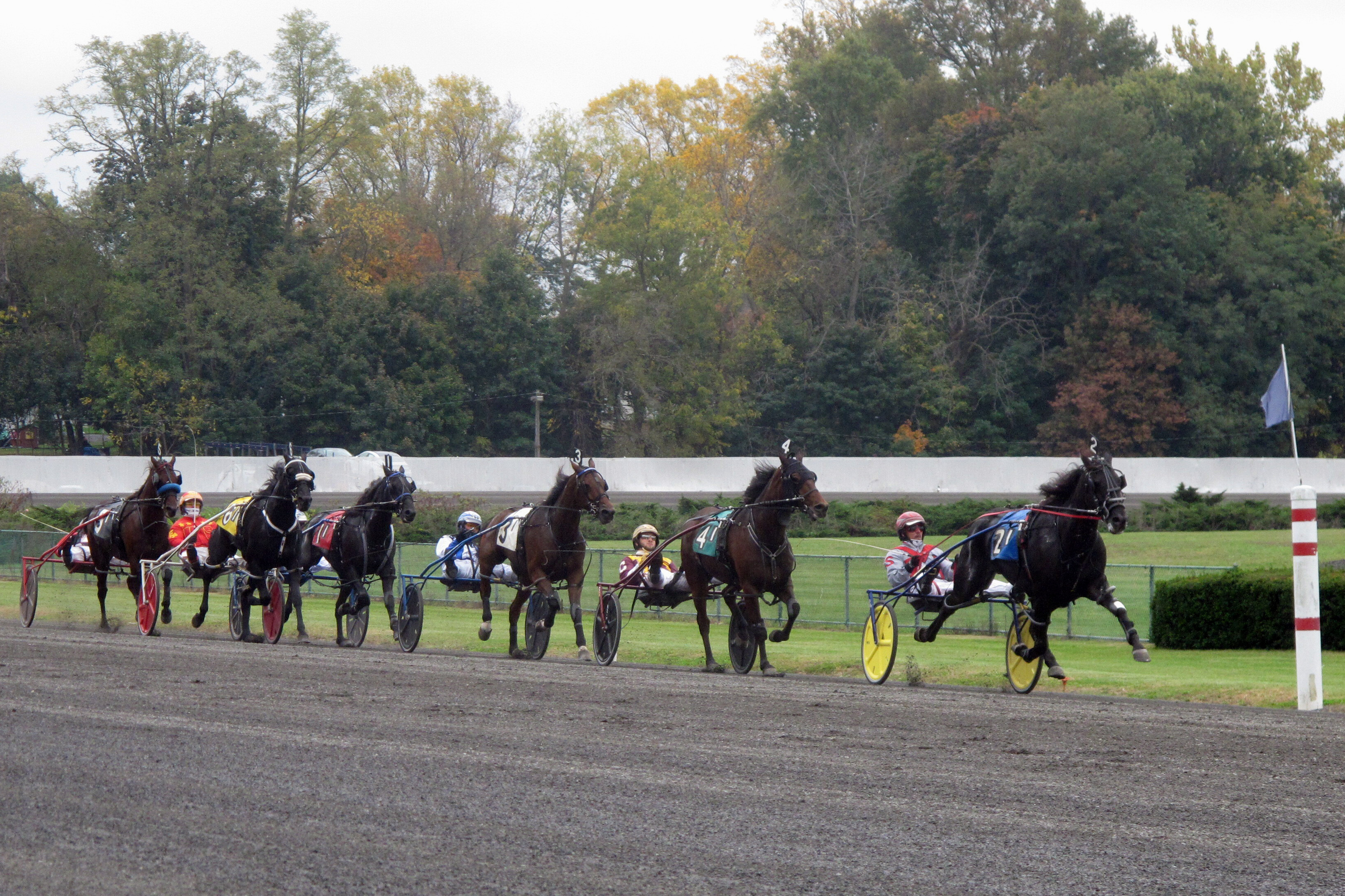FILE - Trotters head for the finish line during a horse race at Freehold Raceway in Freehold, N.J., on Oct. 24, 2020.