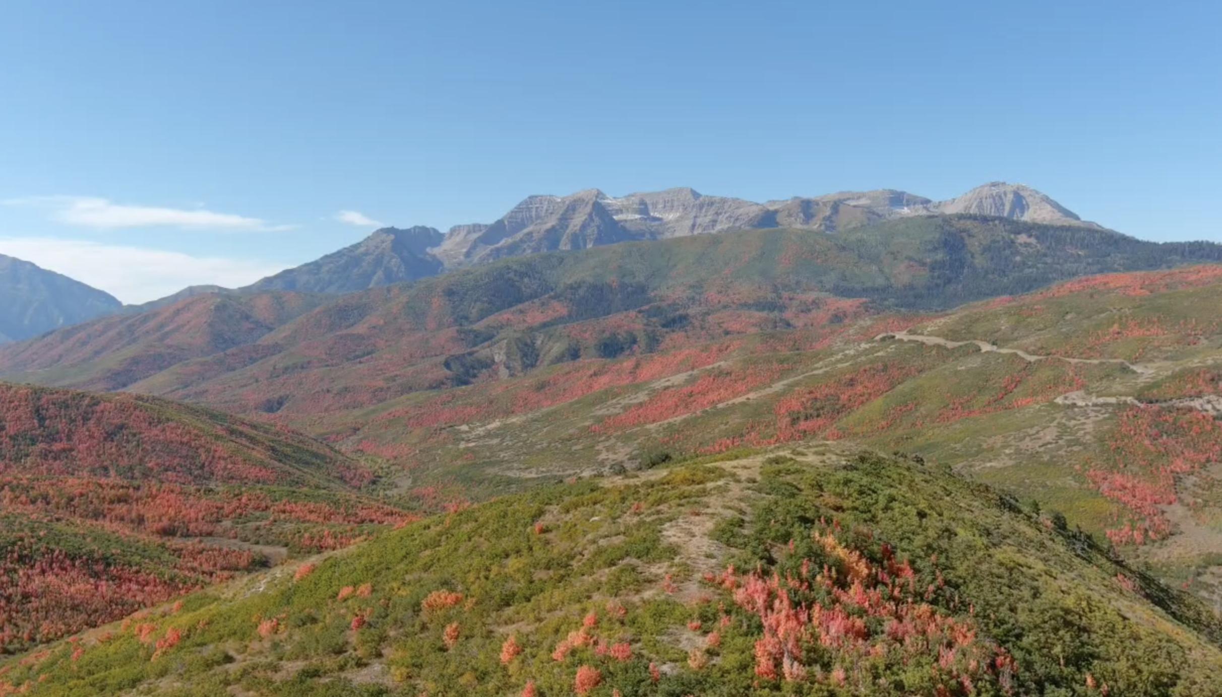 Footage from a drone over Cascade Springs, in American Fork Canyon.