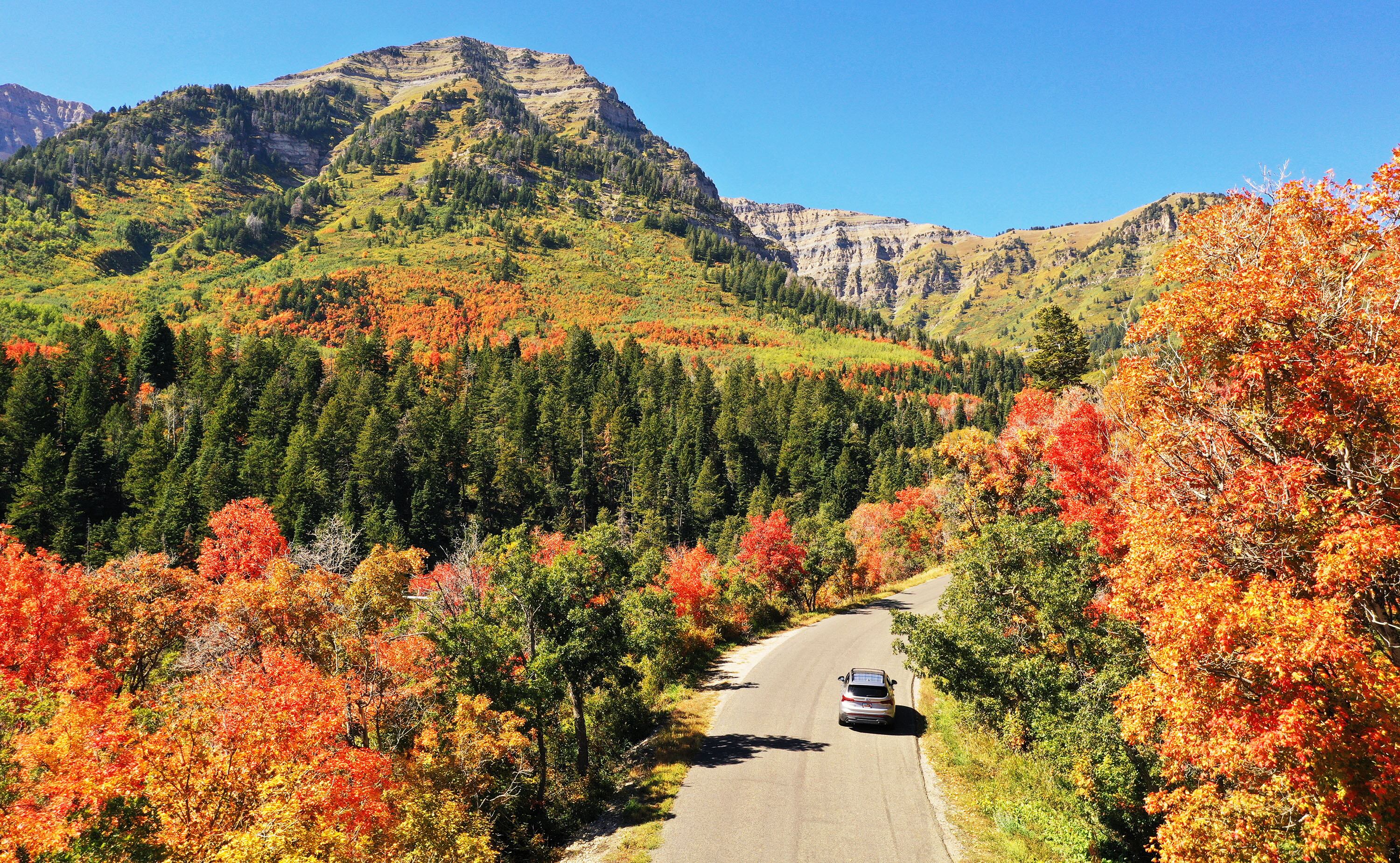 A vehicle on the Alpine Loop Scenic Byway on Tuesday.