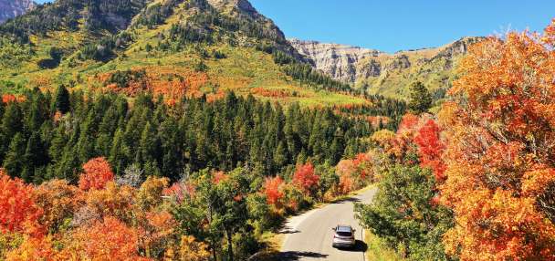 Don't miss these northern Utah canyons for spectacular fall foliage