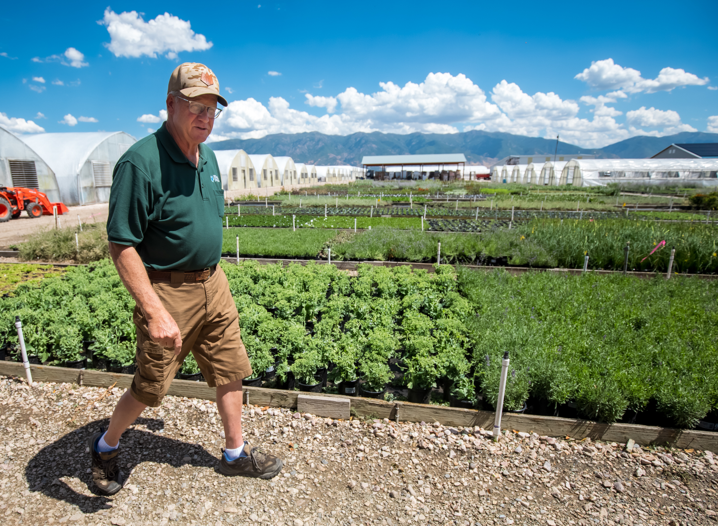 Preston Cox, co-founder of Perennial Favorites in Layton, provides a tour of the business's nursery on Aug. 20. The company now specializes in growing more water-wise plants for consumers across the region.